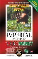 Imperial Whitetail Chic Magnet